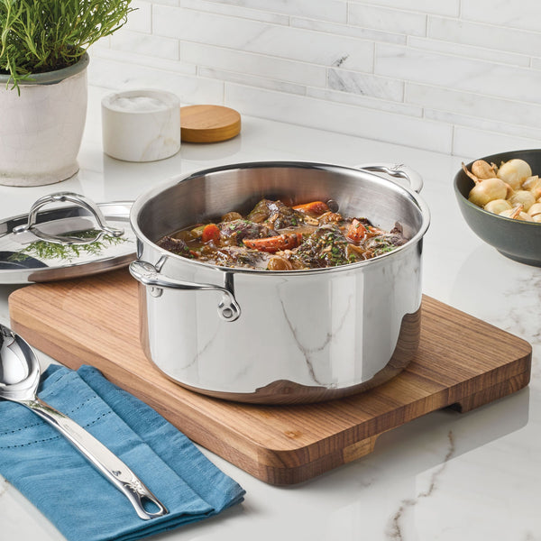 Hestan Probond Luxe 6 Qt Covered Stock Pot (24Cm)