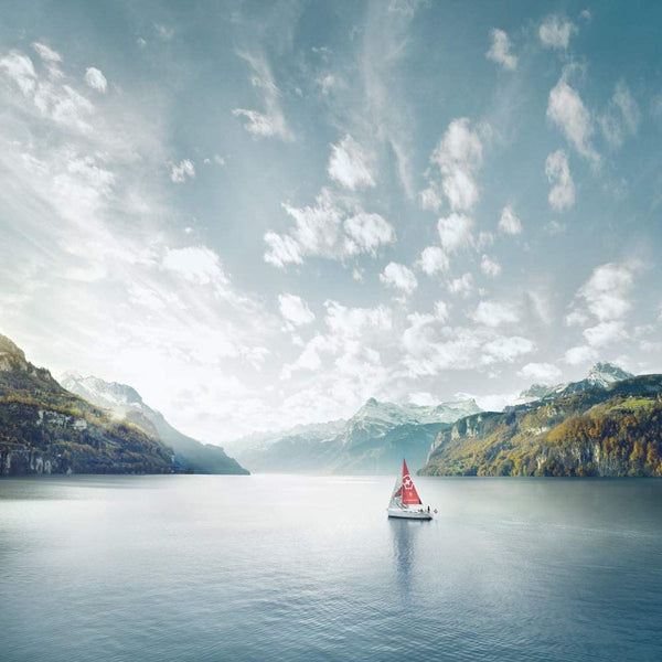 Victorinox Bread, Swiss Classic, 8¾" Curved, Serrated Blade, Black