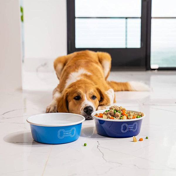 Le Creuset 6 cup Large Dog Bowl - Orange