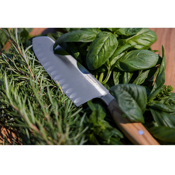 Wusthof Amici 7" Hollow edge Santoku Knife