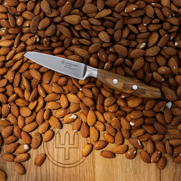 Wusthof Amici 3.5" Paring knife
